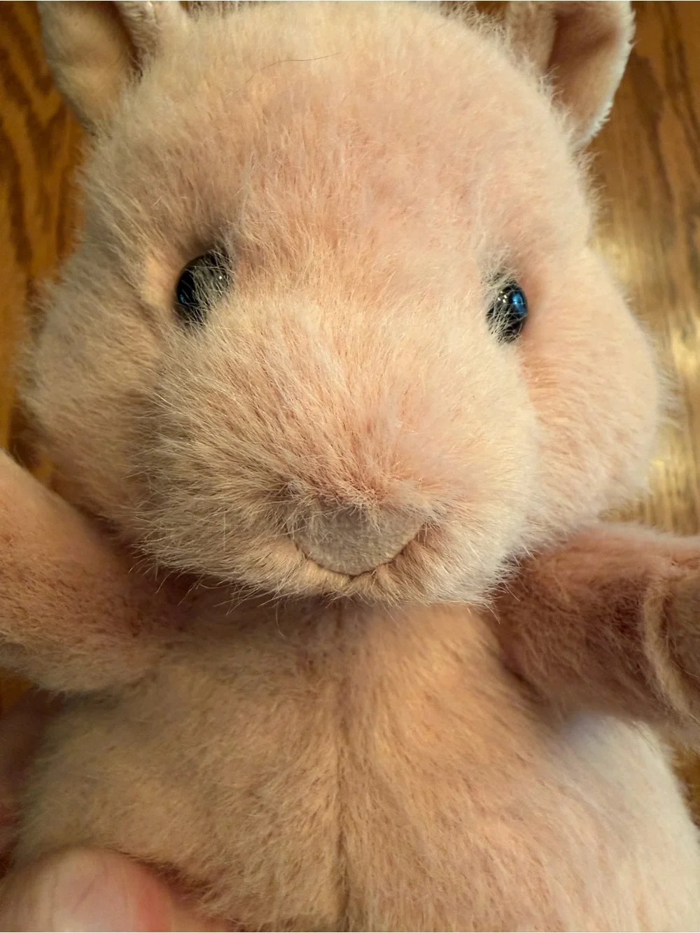 Jellycat Hank Hampster NWT